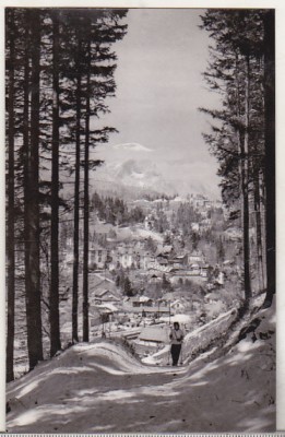 bnk cp Sinaia - Vedere de pe Piscul cainelui - necirculata foto