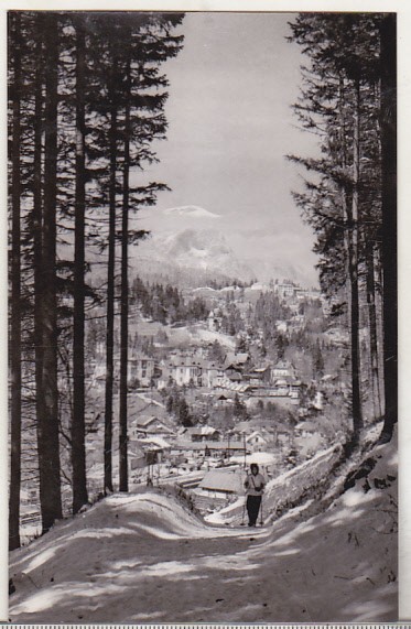 bnk cp Sinaia - Vedere de pe Piscul cainelui - necirculata