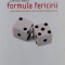 Formula Fericirii - Stefan Klein ,555534
