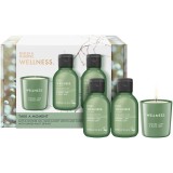 Baylis &amp; Harding Wellness. Energise set cadou Ginger, Lime &amp; Basil Leaf