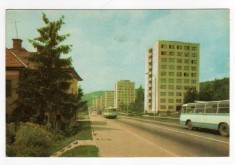 CLUJ CARTIERUL GRIGORESCU AUTOBUZ TV MARCA FIXA 40 BANI