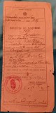 QW13 12 - 1946 - Buletin de nastere - Regatul Romaniei