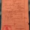 QW13 12 - 1946 - Buletin de nastere - Regatul Romaniei