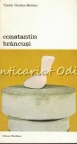 Cumpara ieftin Constantin Brancusi - Carola Giedion-Welcker