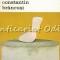 Constantin Brancusi - Carola Giedion-Welcker