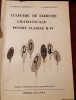 CULEGERE DE EXERCITII GRAMATICALE PENTRU CLASELE II-IV
