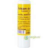 Virginia Balsam pentru Buze cu Echinacea Bio 5ml