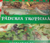 PADUREA TROPICALA PANORAME