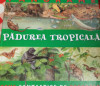 PADUREA TROPICALA PANORAME