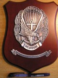 D13 1 - Placheta - tematica militara - Regimentul 9 de asalt - trupe speciale