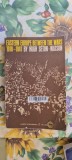 Eastern Europe Between Wars 1918-1941, Hugh Seton-Watson - Carte Istorie
