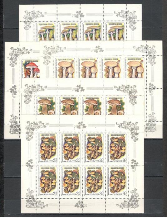 U.R.S.S.1986 Ciuperci-coli mici MU.852