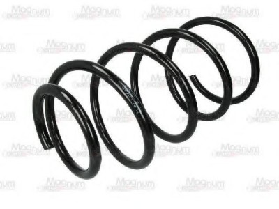 Arc spiral ROVER 75 (RJ) (1999 - 2005) Magnum Technology SK032MT foto