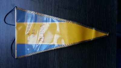 FANION - SLAVIA VSD ZILINA foto