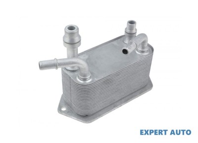 Racitor ulei Land Rover RANGE ROVER Mk III (LM) 2002-2012 #1 foto