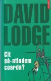 David Lodge - Cat sa-ntindem coarda?