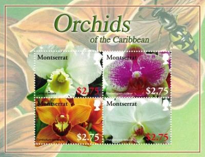 MONTSERRAT 2008 - Orhidee/ colita nestampilata foto