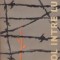 Gol intre lupi - roman -