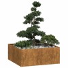 VidaXL Jardinieră Rusty 100x100x40 cm Oțel pentru intemperii