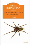 Fragmente dintr-un carnet gasit. Femei | Mihail Sebastian, Cartex