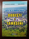 Satele de la Obarsia Jigaliei. Dodesti si Tamaseni- Gheorghe Gherghe, Mihai Apostu