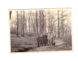 Poza mica tineri in parcul Josefin, Resita 1941, stare buna