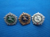 LOT INSIGNE SPORT-ATLETISM-RUSIA