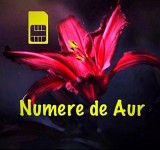 Numere Vip Aur * Numar Gold 07xy 5OO.OOO