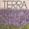 Terra - prezent si viitor