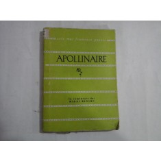 APOLLINAIRE - MIHAI BENIUC - POEME