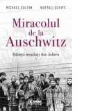 Miracolul de la Auschwitz. Baietii evadati din infern - Anca Irina Ionescu, Michael Calvin, Naftali Schiff
