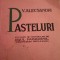 Pasteluri Alecsandri, editia Papadopol
