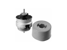 Suport motor Audi A4 (8e2, B6), A4 (8ec, B7) Teknorot parte montare : Stanga, Fata foto