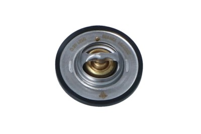 NRF 725183 EASY FIT termostat,lichid racire foto