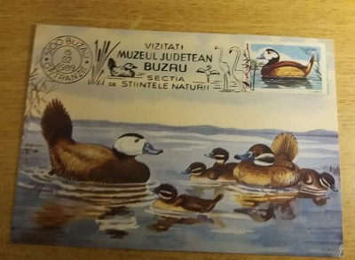 C12 - maxima Romania - tematica pasari 2 - prima zi a emisiunii sau expozitii foto