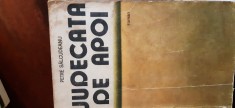 Judecata de apoi Petre Salcudeanu 1987