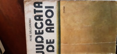 Judecata de apoi Petre Salcudeanu 1987 foto