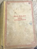 CRT7DE Carte veche Germana -J. P&eacute;ladan &ndash; Der Androgyn: Roman (Androginul: Roman, M&uuml;nchen, 1924