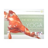 The Key Muscles of Yoga