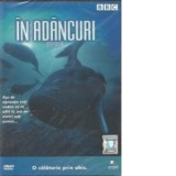In Adancuri / Deep Ocean (DVD Video)