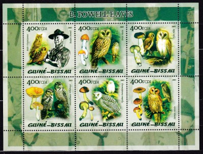 DB Guineea Fauna Pasari Bufnite Ciuperci Cercetasi Baden Powell MS MNH foto