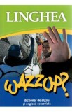 Wazzup? Dictionar de argou si engleza colocviala