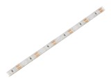Bandă LED Albastră 12V 15W/m IP65
