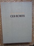 DICTIONAR CEH-ROMAN - cel mai mare