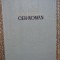 DICTIONAR CEH-ROMAN - cel mai mare
