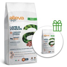 Alleva HOLISTIC caine adult, miel &amp;amp;amp; vanat mediu &amp;amp;amp; maxi 12 kg + 2 kg GRATUIT foto