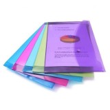 Mapa cu capsa A4 culori asortate 5 buc set Rapesco