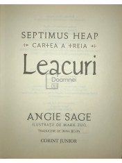 Angie Sage - Leacuri (Editia: 2008) foto