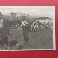 Transilvania Siebenbürgen Etnic Tipuri