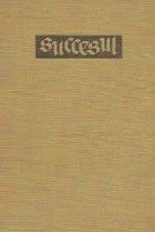 Succesul. Trei ani din istoria unei provincii